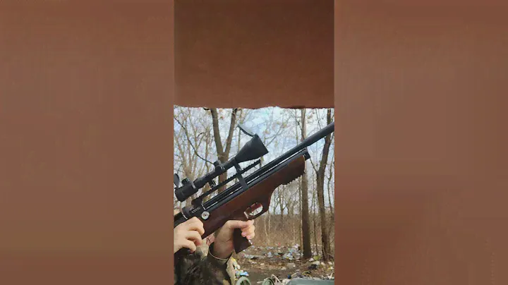 Hatsan flashpup .22 Review
