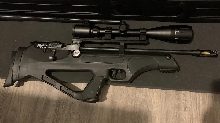 Hatsan flashpup s qe ...synthetic