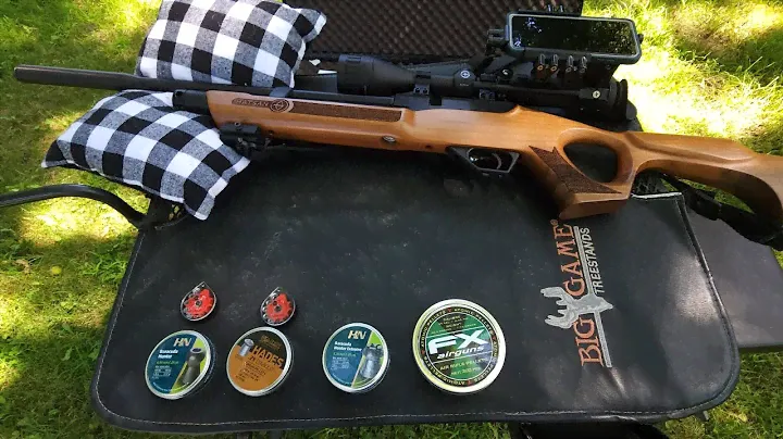 hatsan flash qe .25 caliber (wood) super accurate!