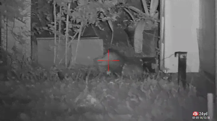 atn xsight 4k / hatsan blitz possum#2