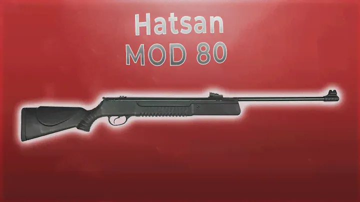 Hatsan MOD 80