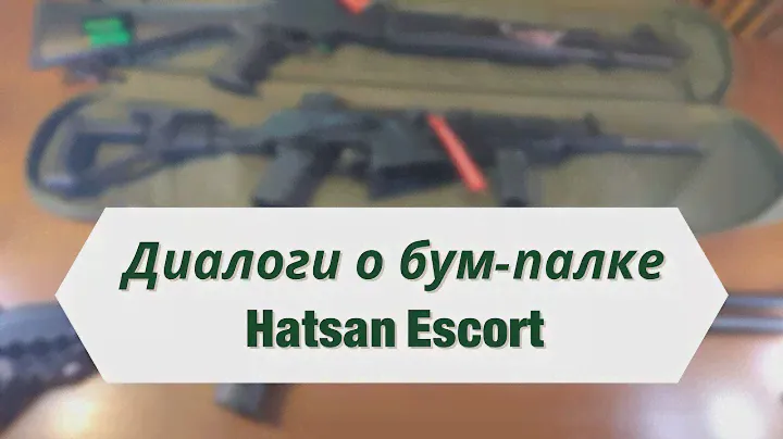 ПОДКАСТ: Hatsan Escort, интервью с Сашкой