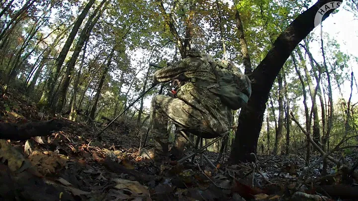 HATSAN FlashPup Synthetic Squirrel hunt