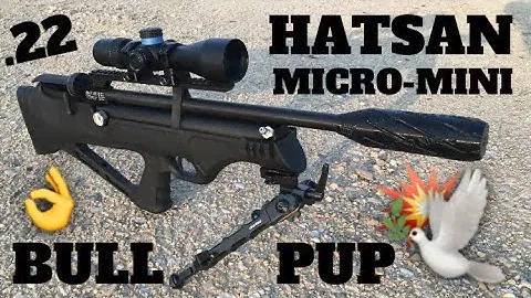 Hatsan FlashPup on Terminador Gear With Pest Control